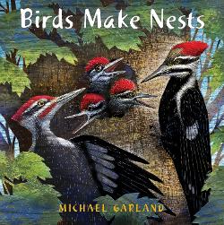 Birds Make Nests Image