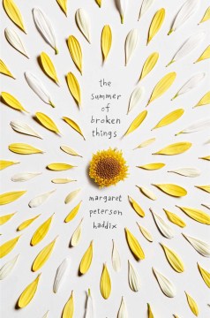 The Summer of Broken Things Image