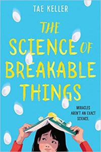 Science of Breakable Things, The Image