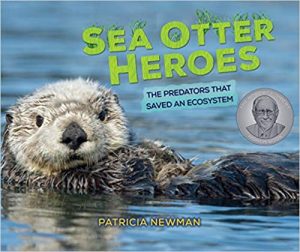Sea Otter Heroes: The Predators that Saved an Ecosystem Image
