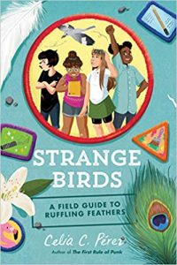 Strange Birds: a field guide to ruffling feathers Image